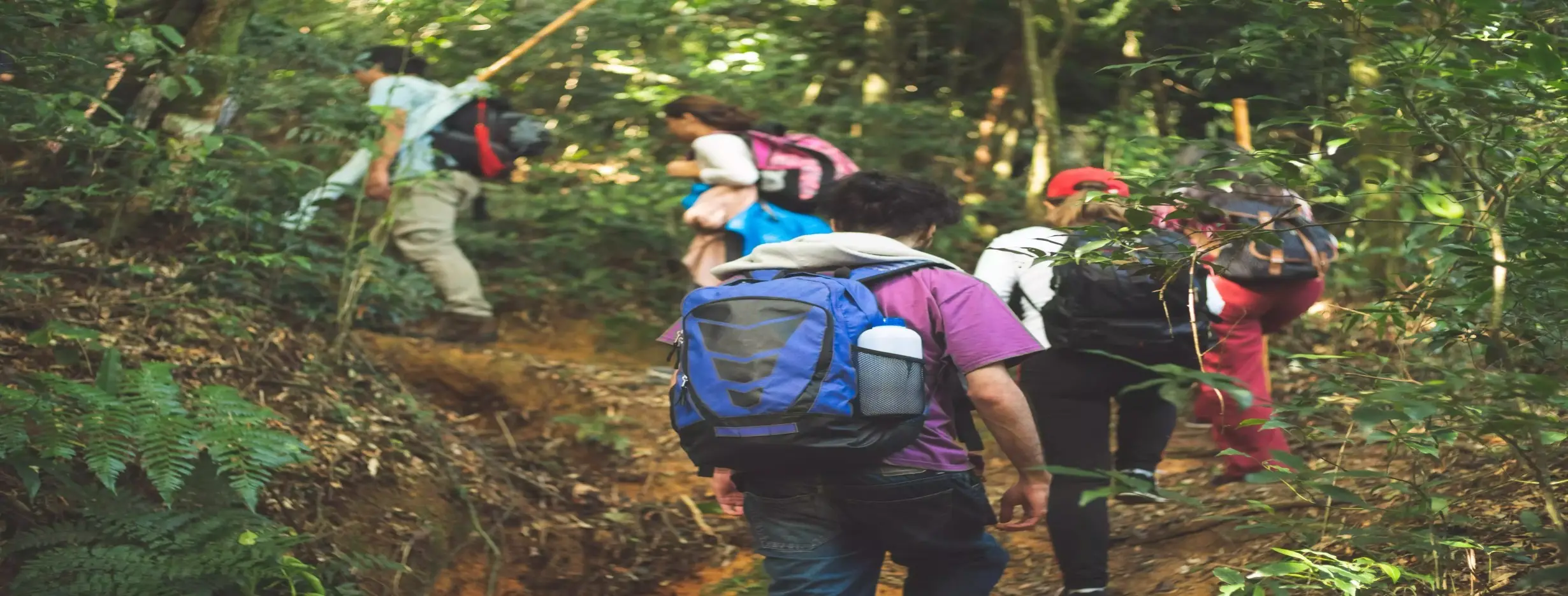Image for Eco Tourism Adventures